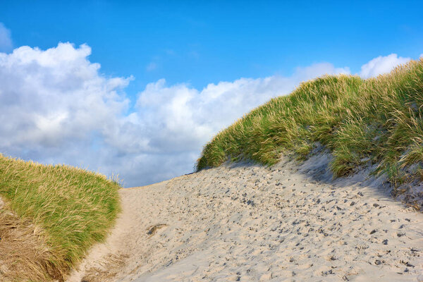 Крупный план песчаной дорожки с пышной зеленой травой, растущей на пляже с облачным копировальным пространством. Голубое небо в теплый и солнечный летний день над сухой и песчаной дюной, расположенной на побережье залива.