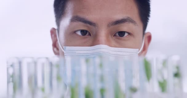 Closeup Laboratory Scientist Using Dropper Pipette Test Plants Leaves Test — Video