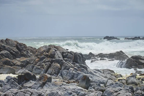 Skaliste Wybrzeże Prowincji Cape Rpa Fale Oceaniczne Rozbijające Się Przybrzeżnych — Zdjęcie stockowe