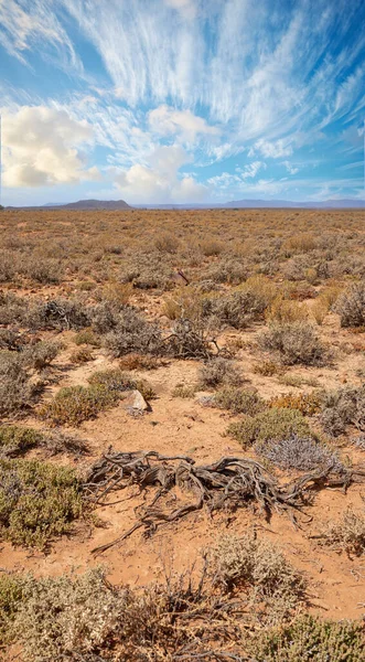 Hot Summer Day Dry Highland Savanna South Africa Cloudy Sky — 스톡 사진