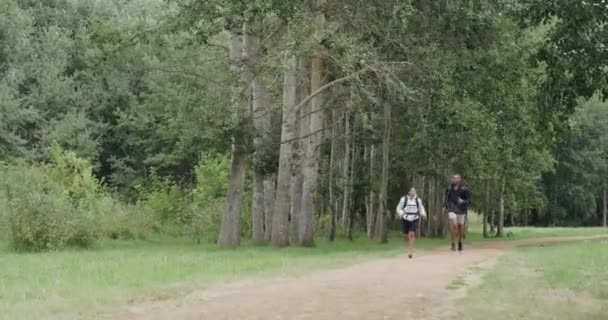 Couple Running Together Outdoors Forest Trail Athletic Fit Friends Exercising — ストック動画