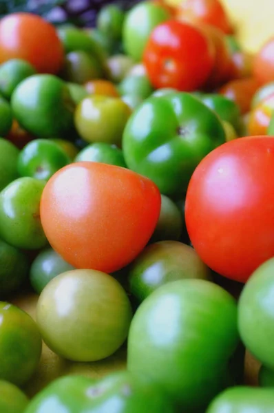 Closeup Green Red Tomato Raw Tomatoes Different Stages Ripeness Green — Stock fotografie