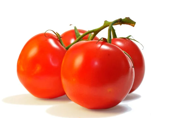 Bunch Ripe Freshly Picked Bright Red Tomatoes Stem Isolated Studio — Stock fotografie