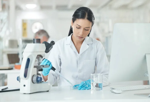 Young Scientist Working Samples Lab — Foto Stock