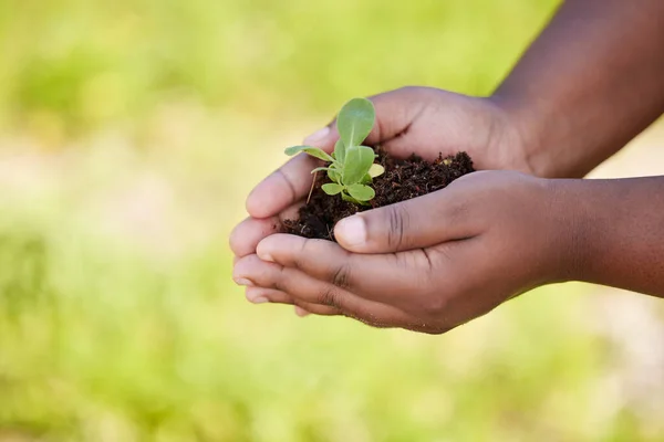 Unrecognisable Person Holding Plant Growing Out Soil — ストック写真