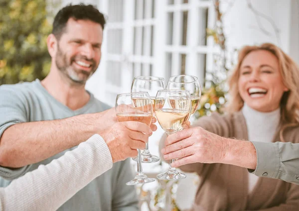 Family Toasting Wine Glasses Home — Fotografia de Stock