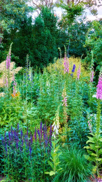 Eine Reihe Schöner Gartenfotos — Stockfoto