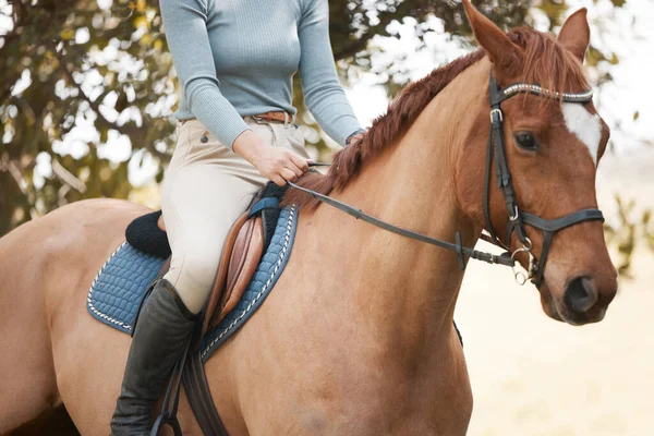 Unrecognizable Female Riding Horse Forest — Stockfoto
