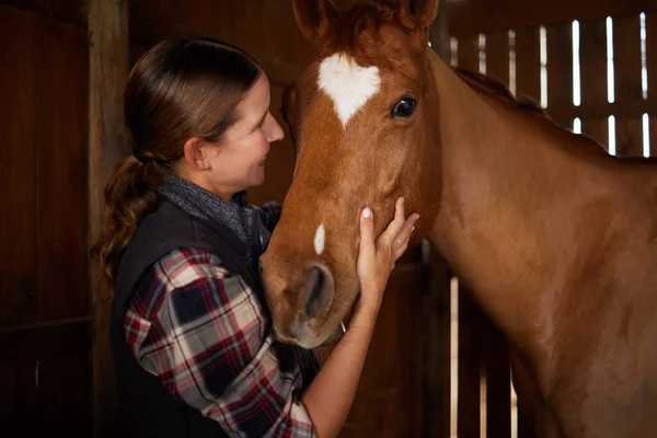 Young Woman Petting Horse Barn — ストック写真