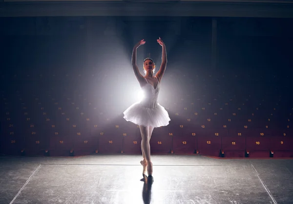 a ballerina performing her routine.