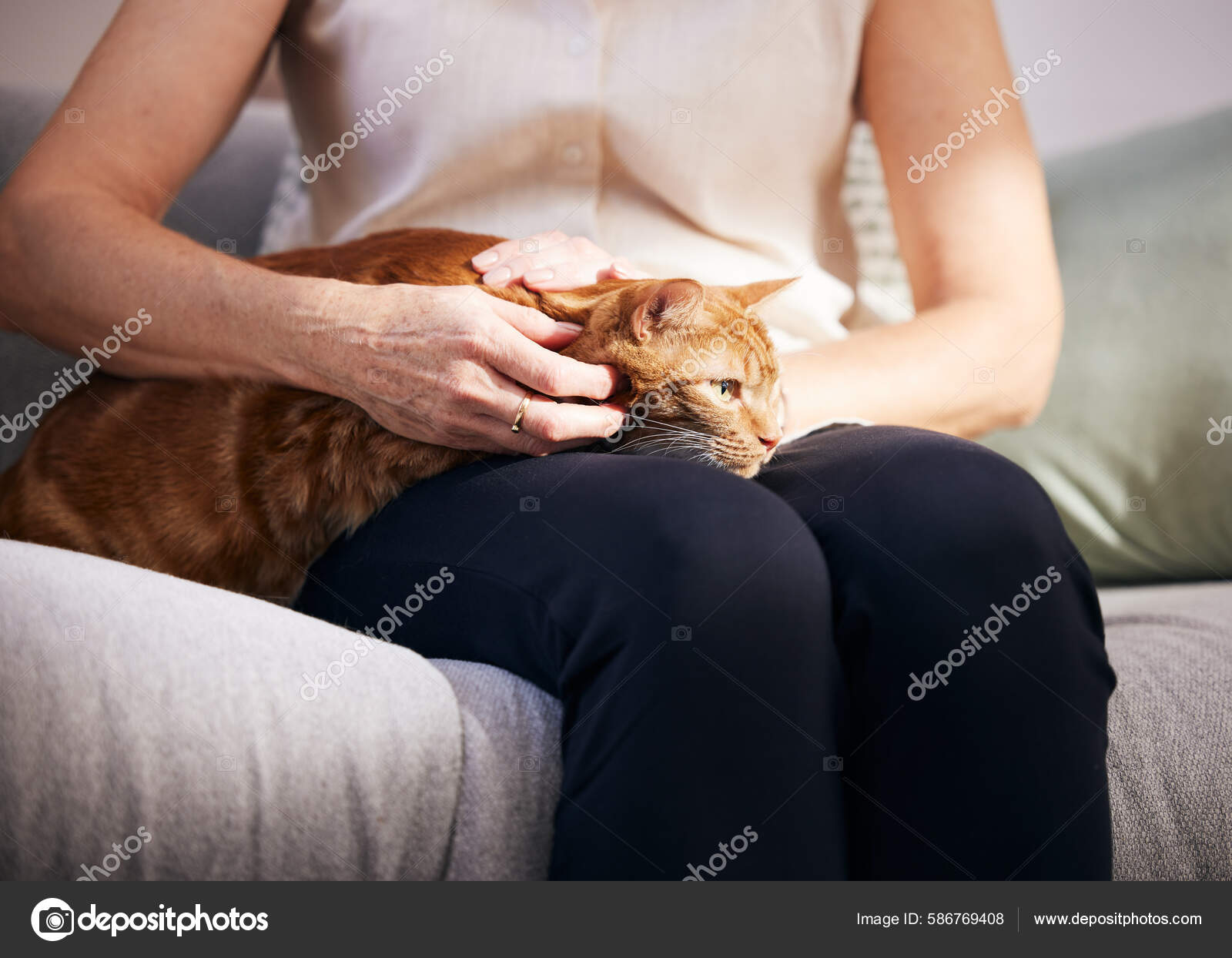 Крупный План Очаровательного Рыжего Кота Расслабляющегося Дома.