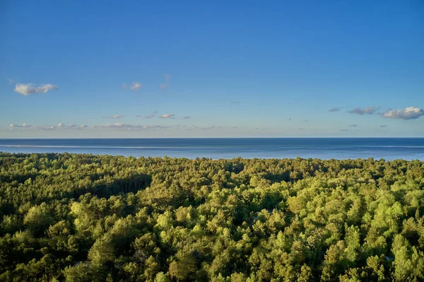Photo Green Lush Forest Springtime Sea Kattegat Denmark — 스톡 사진