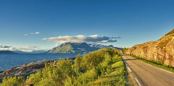 View Road Green Vegetation Leading Idyllic Secluded Area Summer Big — Stock Fotó