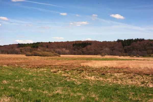 Panorama View Rural Landscape Kingdom Denmark Blue Sky Copyspace Fresh — Stock fotografie