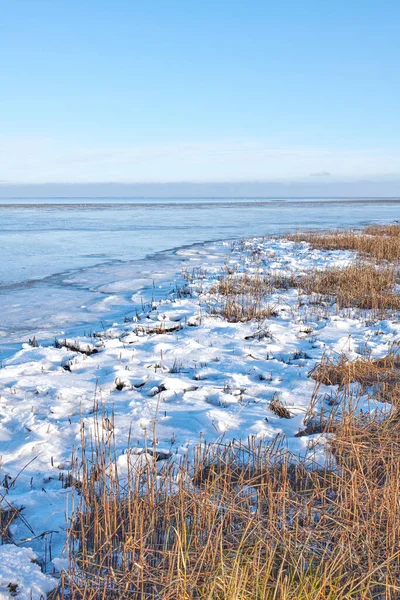 Photos Danish Winter Coast Kattegat — 스톡 사진