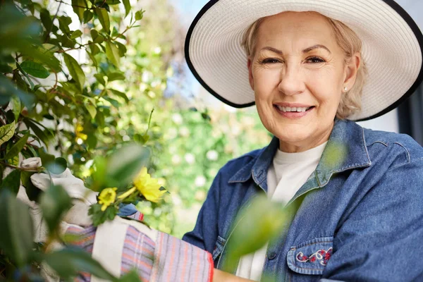 Старша Жінка Садівництво Подвір Вдома — стокове фото