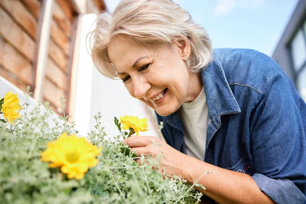 Senior Woman Gardening Backyard Home — Stock Photo, Image