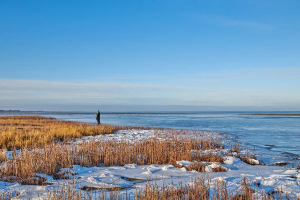 Фото Данської Зими Біля Узбережжя Каттегата — стокове фото