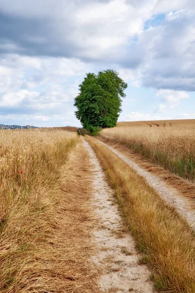 Série Fotografií Krajiny Zemědělské Půdy Lesa Blízkosti Lyonu Francie — Stock fotografie