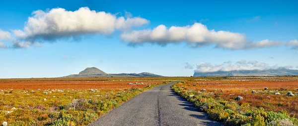 Road Wilderness Cape Point National Park Western Cape South Africa — Stock Photo, Image