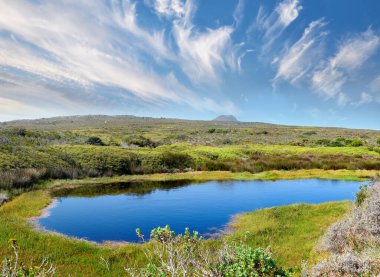 Small waterhole in the wilderness of Cape Point National Park, Western Cape, South Africa. clipart