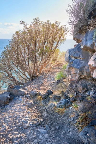 Mountain trails on La Palma, the west coast, Canary Island, Spain, Aerial view.