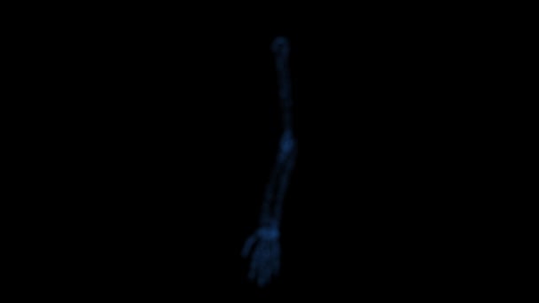 Digitally Enhanced Video Footage Xray Scanned Human Arm — Vídeo de Stock