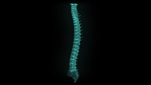 Digitally Enhanced Video Footage Xray Scanned Human Spine — Stock Video