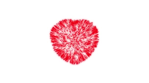 Video Digitally Created Red Heart Bursting White Background — Video Stock