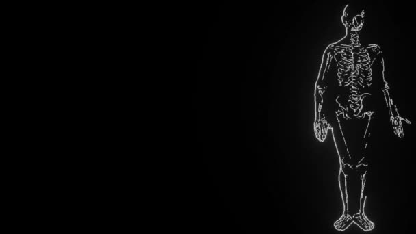 Röntgenle Taranmış Bir Insan Iskeletinin Dijital Olarak Geliştirilmiş Video Görüntüleri — Stok video