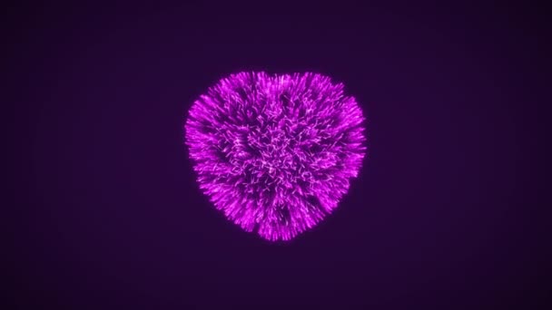 Видео Фиолетового Сердца Разрывающегося Черном Фоне — стоковое видео