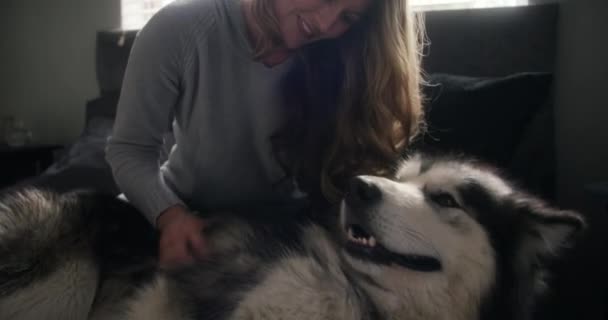 Video Footage Woman Bonding Her Dog While Sitting Home — Wideo stockowe