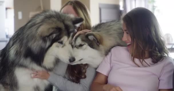Βίντεο Δύο Νεαρές Γυναίκες Παίζουν Σκυλιά Τους Στον Καναπέ Στο — Αρχείο Βίντεο
