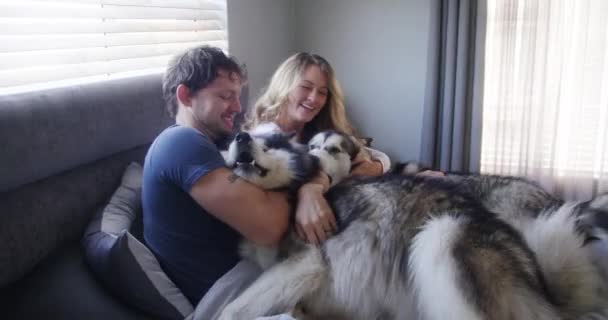 Videomaterial Von Einem Paar Das Mit Seinen Beiden Hunden Bett — Stockvideo