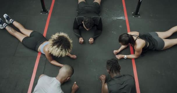 Videomaterial Einer Gruppe Sportlicher Junger Leute Beim Planken Einer Turnhalle — Stockvideo