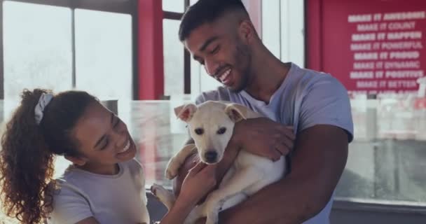 Видео Молодая Пара Сближается Своей Недавно Усыновленной Собакой Приюте Животных — стоковое видео