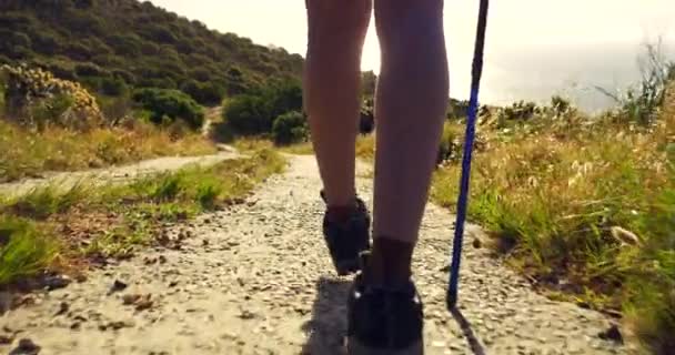 Two Hikers Hiking Trail Mountain Summer Day Closeup Women Walking — ストック動画