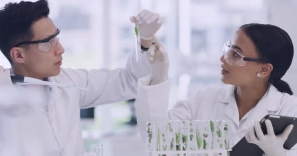 Scientists Growing Plants Test Tubes Typing Data Digital Tablet Experiment — Stockvideo