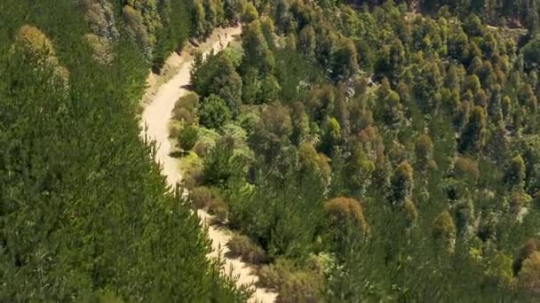 Filmagem Vídeo Uma Pessoa Irreconhecível Pedalando Longo Uma Trilha Floresta — Vídeo de Stock