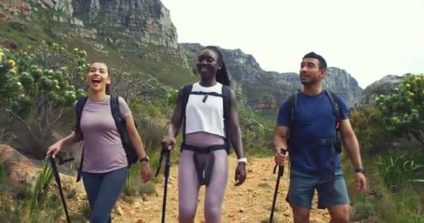 Hikers Walking Trail Mountain Hiking Sticks Diverse Group Active Adventurous — Stockvideo