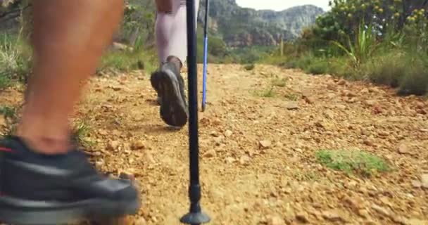 Diverse Group Mountain Hikers Walking Using Trekking Poles Alone Hill — Stockvideo