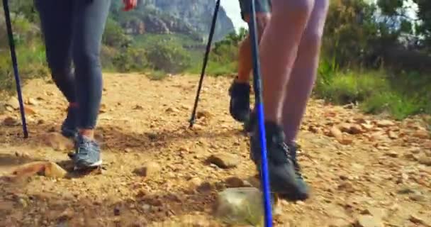 Closeup Group Friends Hiking Mountain Trail Summer Day Active People — Video