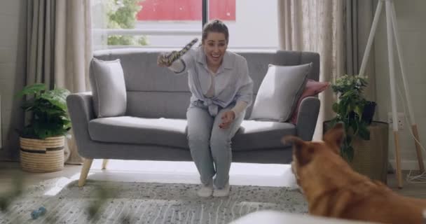 Woman Dog Play Together Indoors Happy Young Female Sitting Couch — Stockvideo
