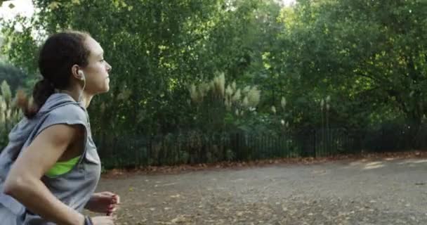 Imágenes Video Una Mujer Corriendo Parque — Vídeos de Stock