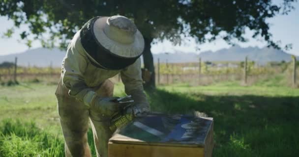 Videobeelden Van Een Onherkenbare Mannelijke Imker Die Zijn Bijenboerderij Werkt — Stockvideo