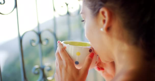 Zawartość Młoda Kobieta Pije Filiżankę Herbaty Ciesząc Się Widokiem — Wideo stockowe