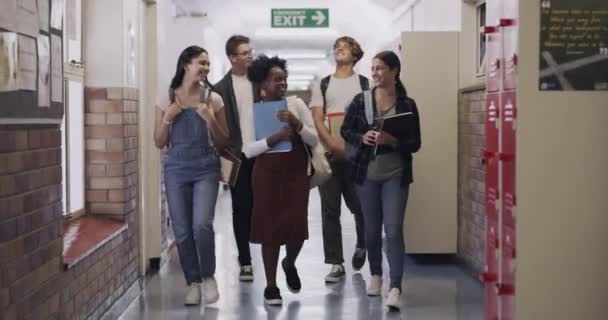Video Footage Group Teenagers Walking Hall High School — Vídeo de Stock