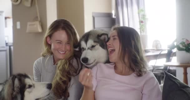 Videomaterial Von Zwei Jungen Frauen Die Mit Ihren Hunden Hause — Stockvideo