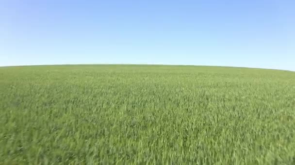Videofelvétel Egy Gyönyörű Zöld Mezőről Vidéken — Stock videók