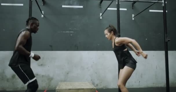 Video Footage Young Man Woman Doing Box Jumps Together Gym — Stockvideo